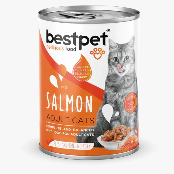 best pet salmon 400gm
