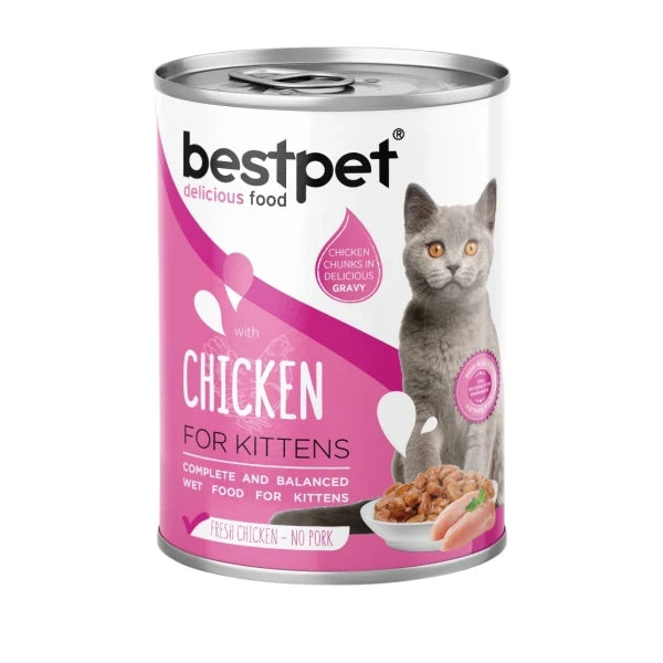 best pet kitten 400gm