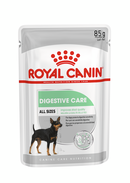 royal digestive dog 85gm