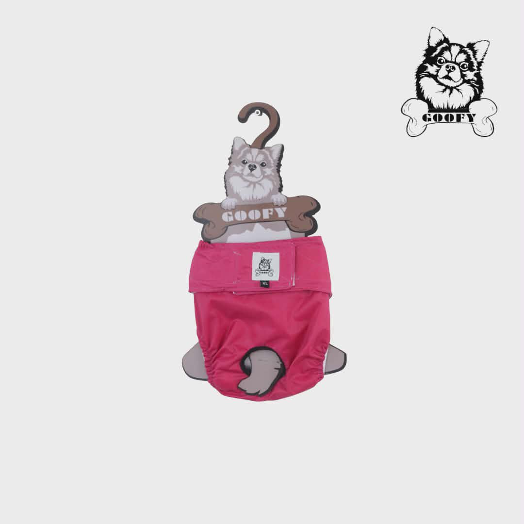 GOOFY FEMALE DIPER XXL