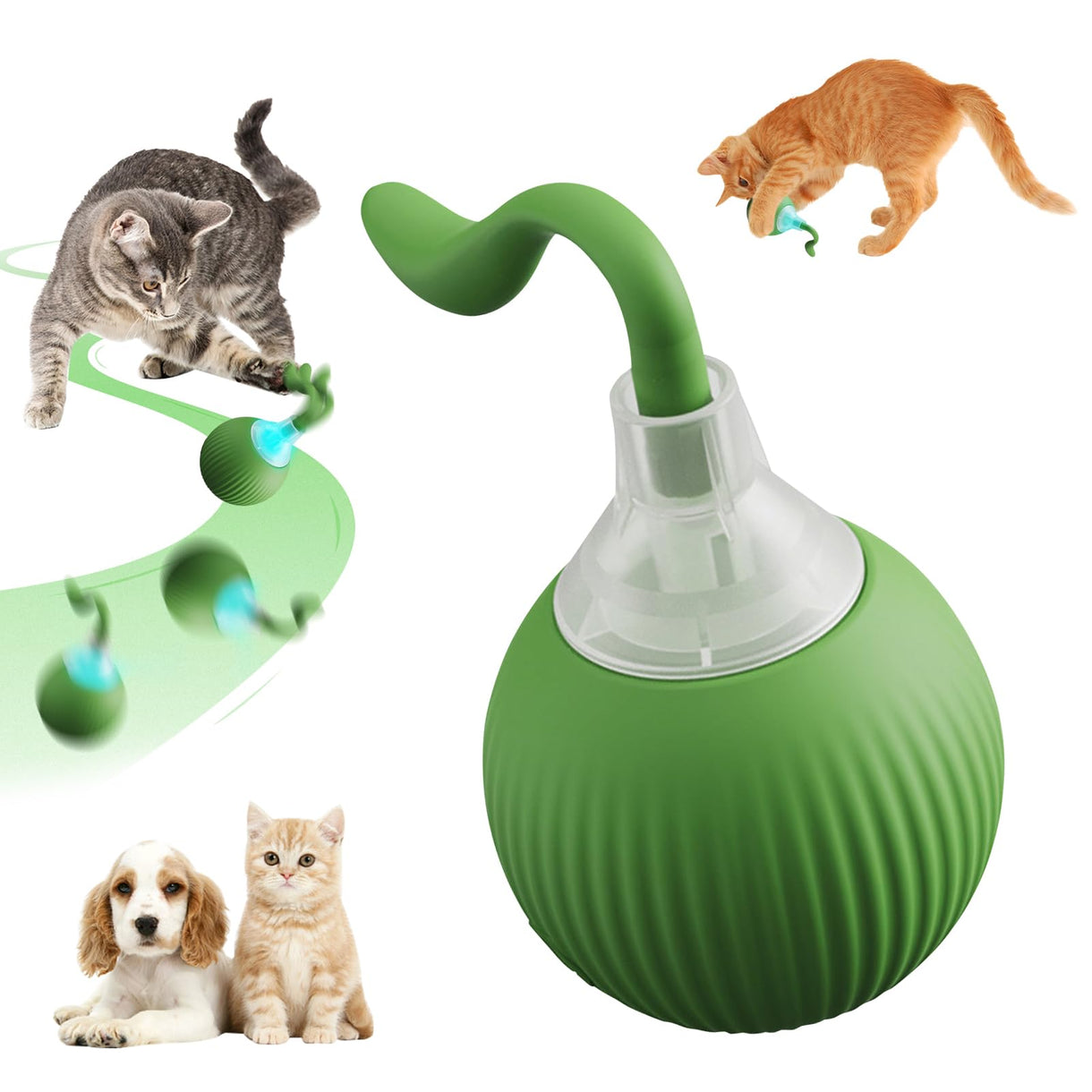 CAT TOY BALL RUN2