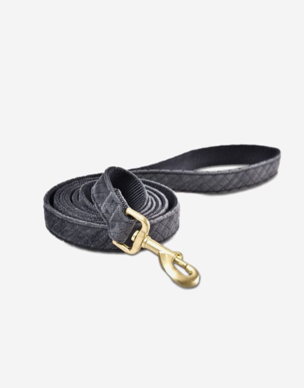 Naomi dog Leash