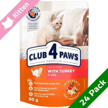 club4 paws kitten turkey
