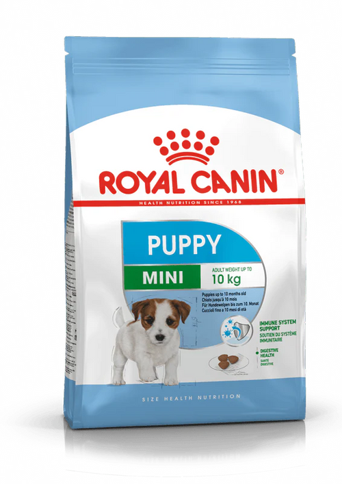 royal mini puppy 4kg