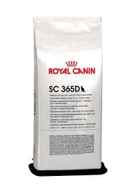 Royal sc365d