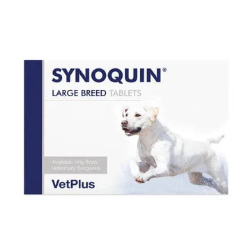 synoqun dogs