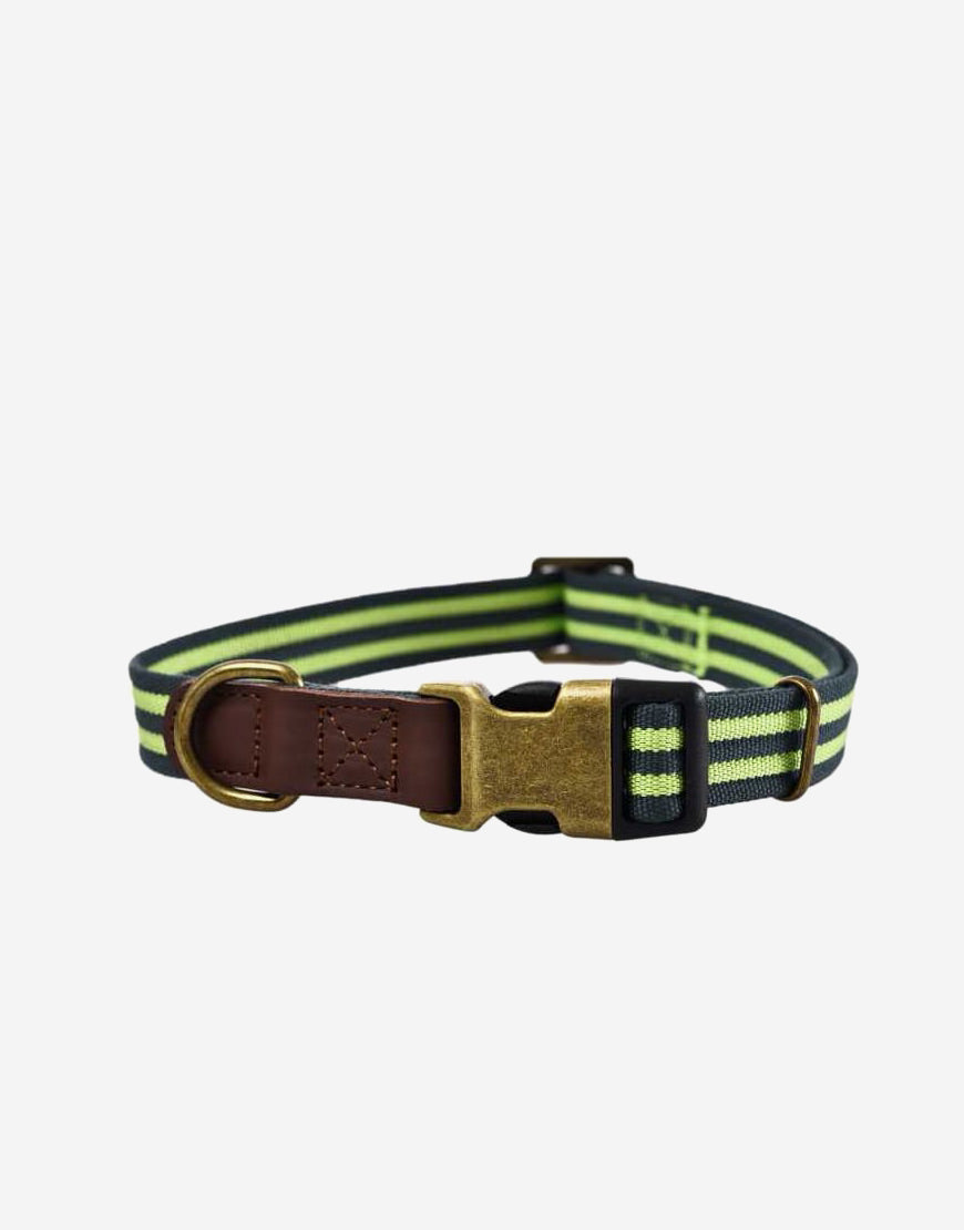 NAOMI COLLAR M