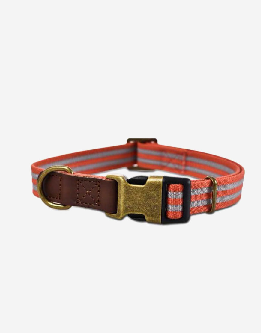 NAOMI COLLAR S