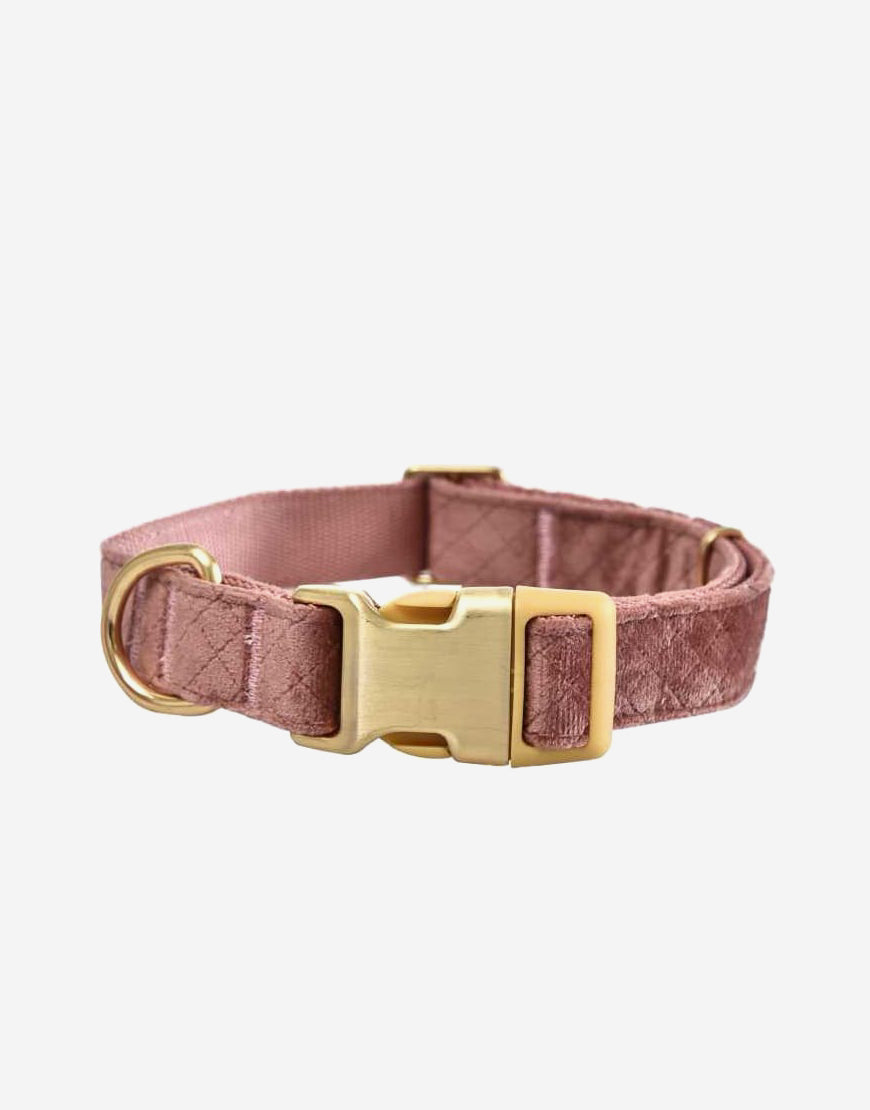 NAOMI COLLAR M52
