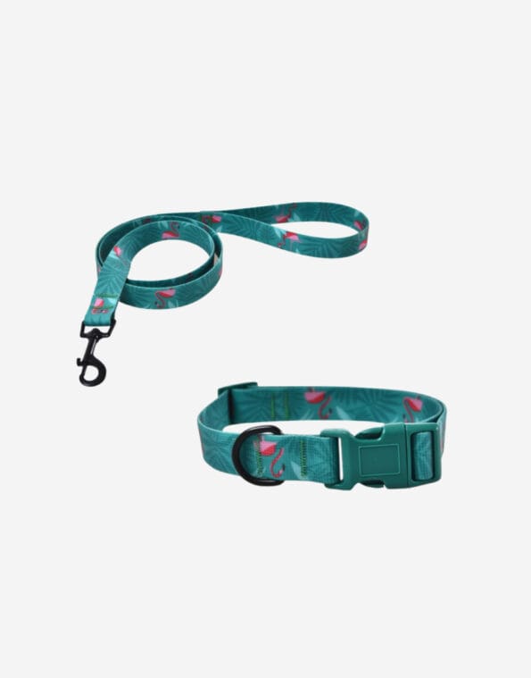 Naomi dog Leash &Collar