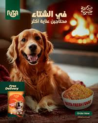 rita dog fur care