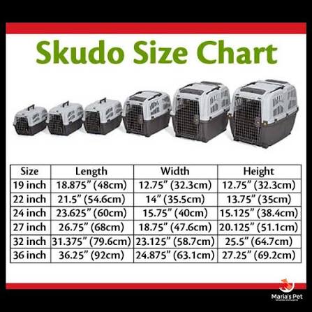 box skudo 4